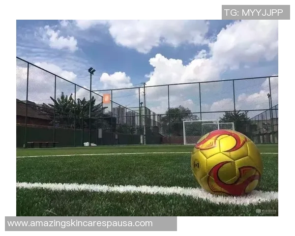 北京足球队运营模式解析与发展前景探讨 北京足球队运营模式解析与发展前景探讨