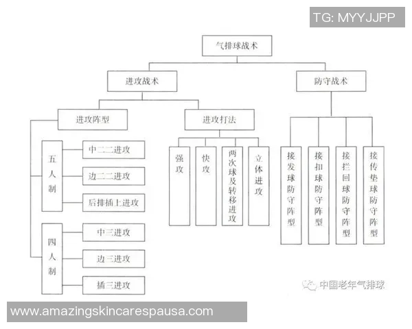 武汉排球队的转换打法深度分析与战术创新探讨
