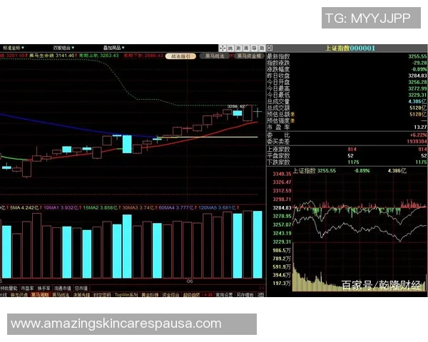 武汉网球队防守策略深度分析与战术解读 武汉网球队防守策略深度分析与战术解读