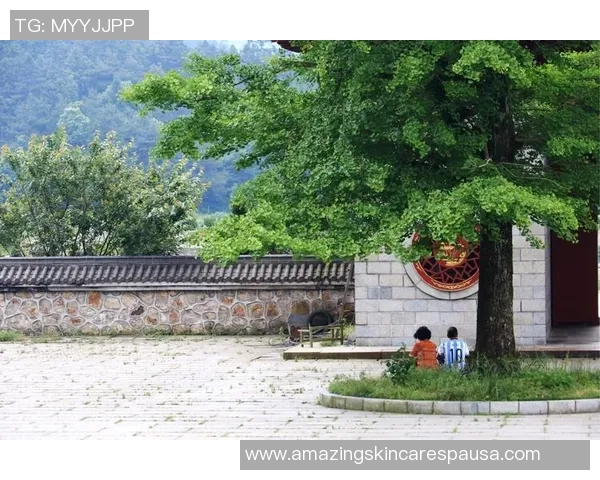 武汉网球队在联合会杯中的拼搏历程与荣耀时刻全景回顾 武汉网球队在联合会杯中的拼搏历程与荣耀时刻全景回顾