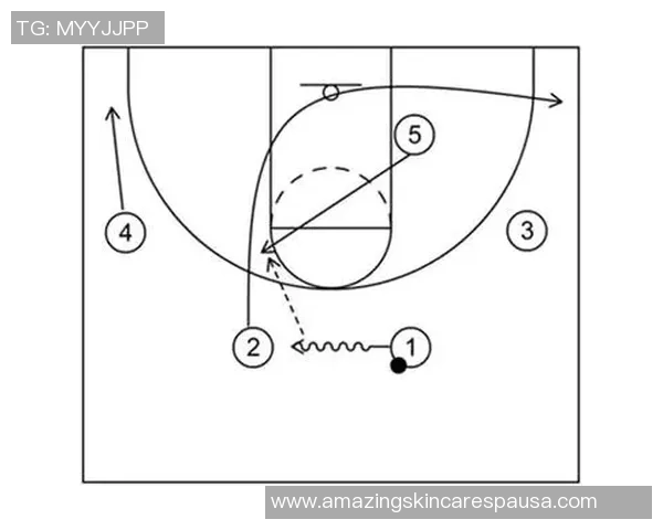 西安篮球队在世界锦标赛中的战术分析与表现评估