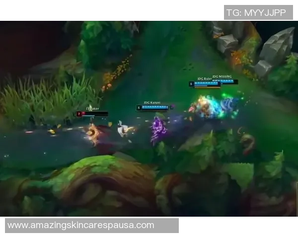 英雄联盟焦点：FPX的比赛经验探讨