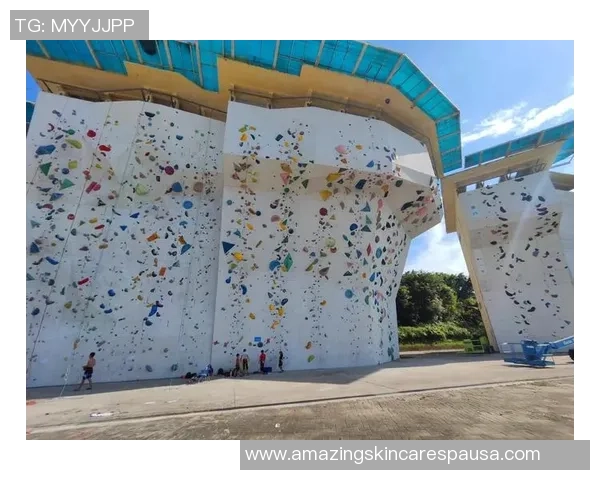 2026攀岩心理素质排行榜：广州攀岩队位居第10名